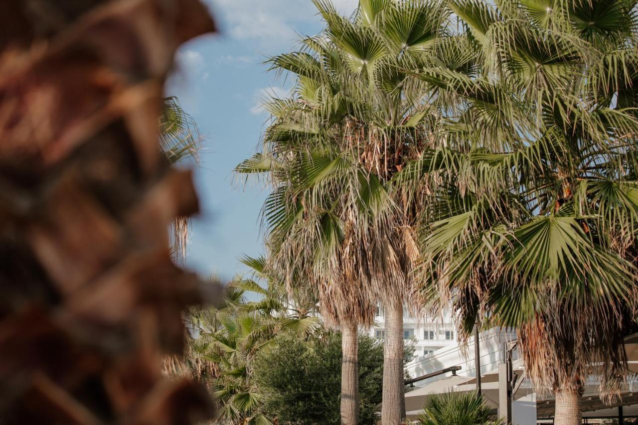 Klajdi Resort & Spa Голем Екстериор снимка Palm trees in the city